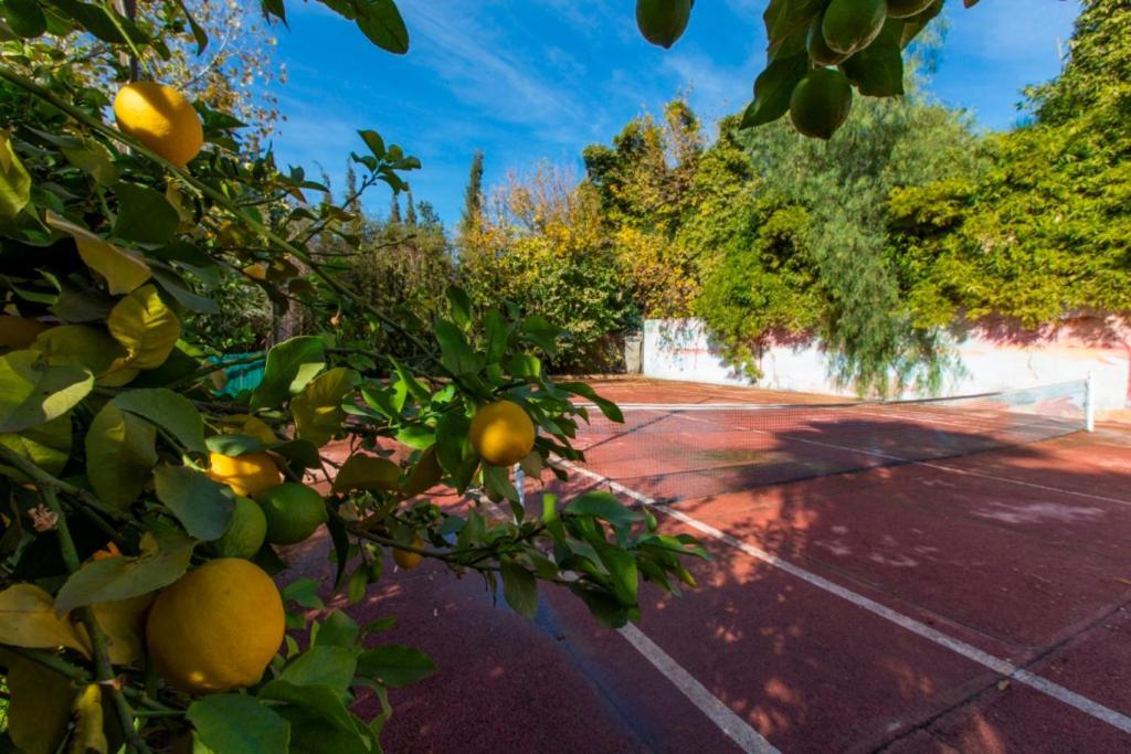 Villa Zahra Palmeraie Marrakesh Eksteriør billede