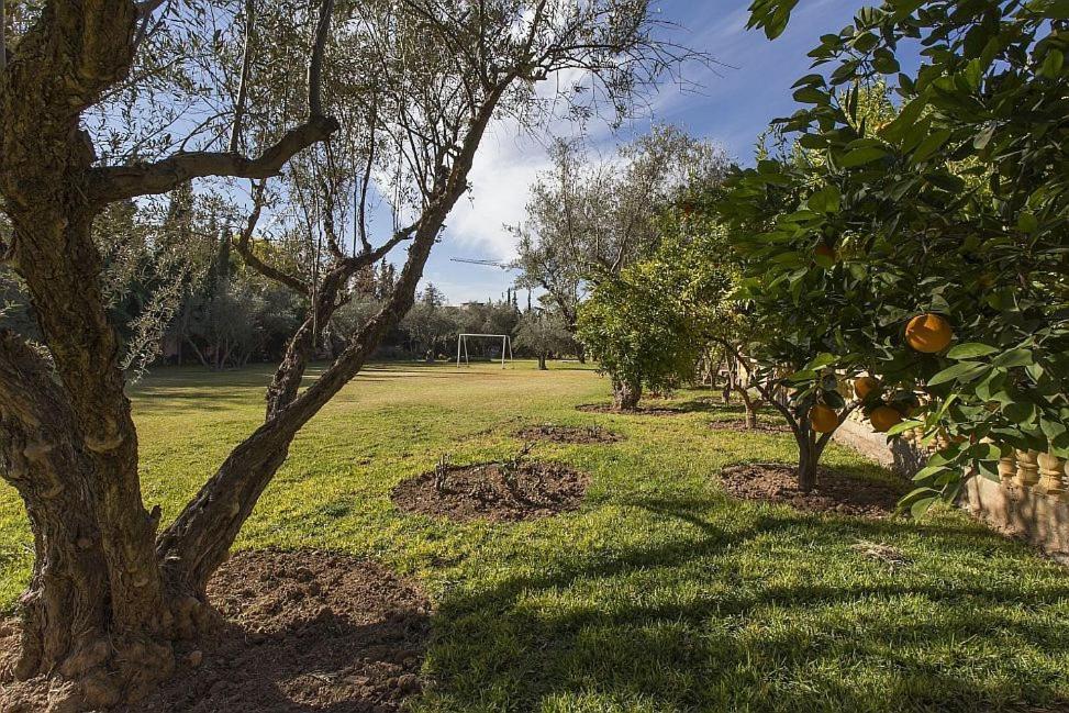 Villa Zahra Palmeraie Marrakesh Eksteriør billede